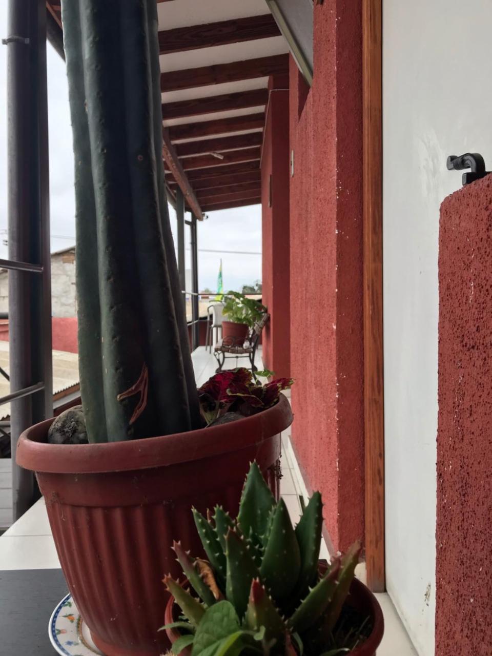Hostal Avenue Ла-Серена Екстер'єр фото